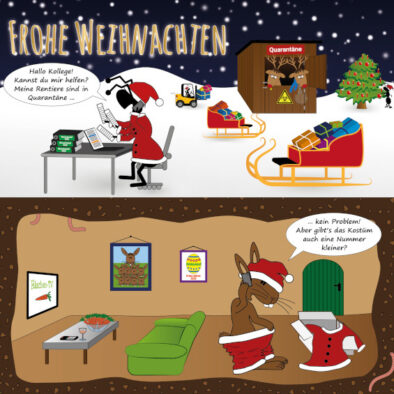 Herzliche Weihnachtsgrüße 2020 von HNC