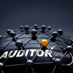 Vernetzung mit AUDITOR online